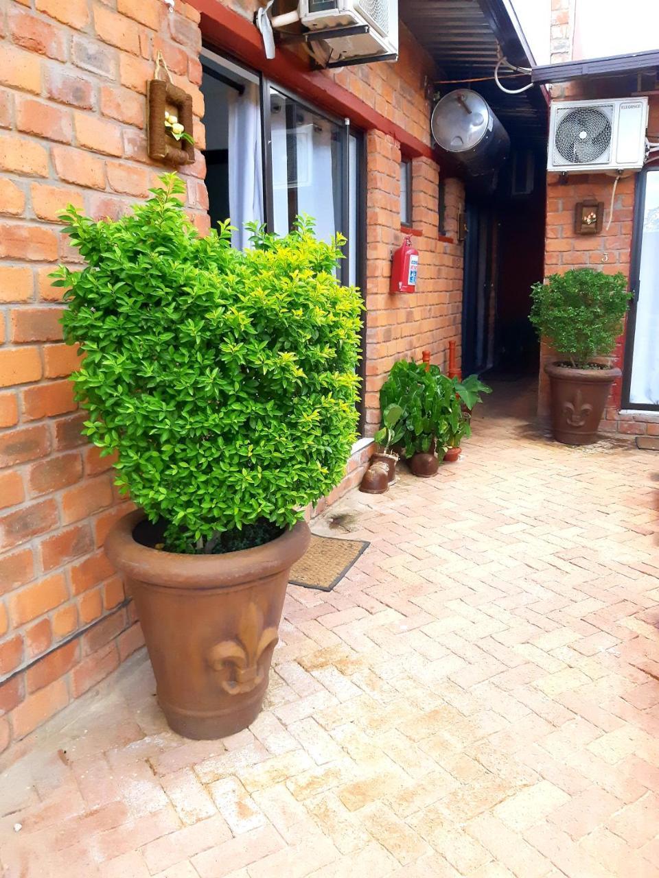 Niilo'S Guesthouse Rundu Exteriör bild